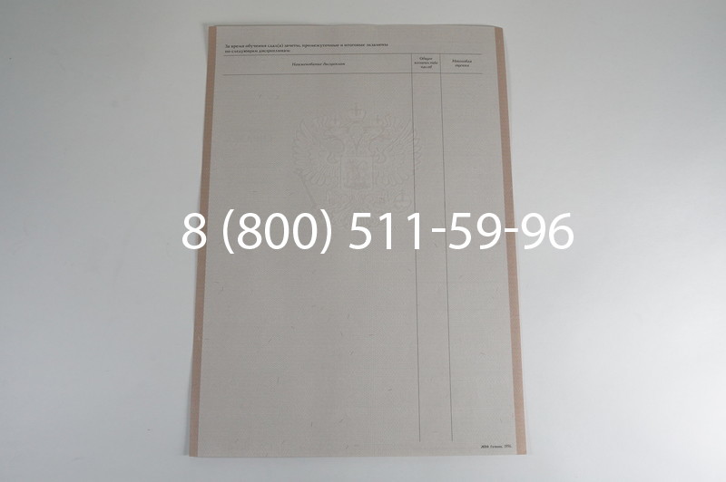Заказать Академическая справка 1996-2009 года в Красноярске