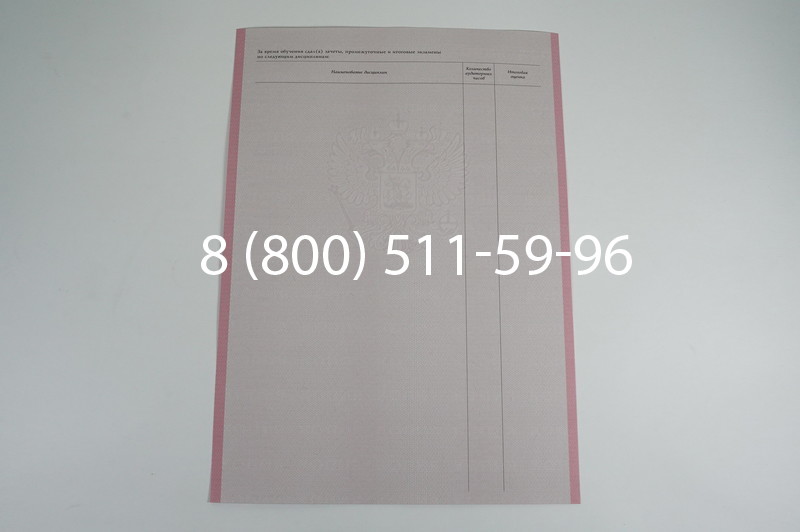 Заказать Академическая справка образца 1996-2009 год для колледжа в Красноярске