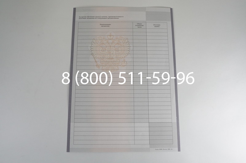 Заказать Академическая справка образца 2010-2011 год для колледжа в Красноярске