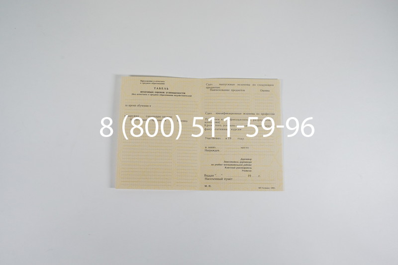 Заказать Аттестат 8 классов СССР в Красноярске