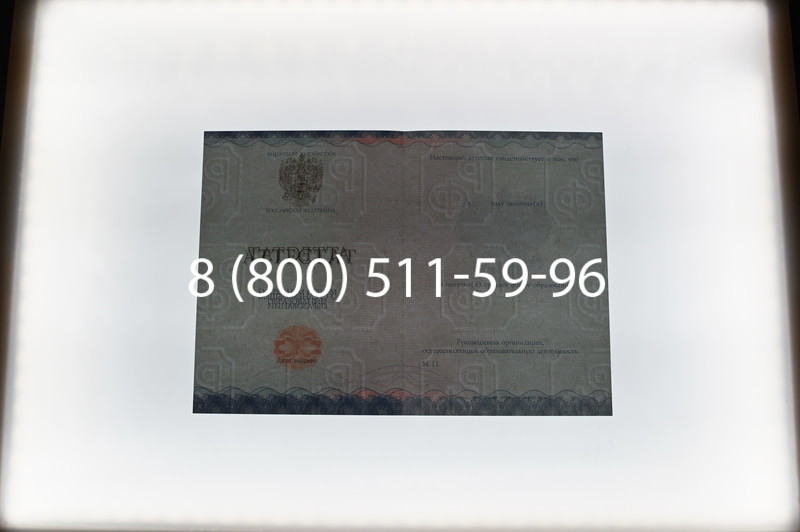 Купить Аттестат за 11 класс 2014-2026 года в Красноярске