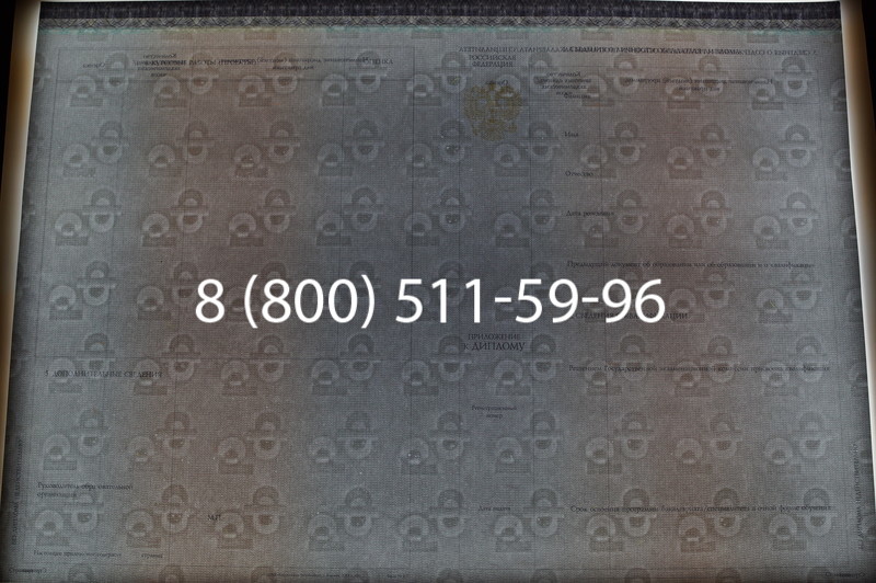 Заказать Диплом бакалавра (Киржач) 2014-2026 года в Красноярске