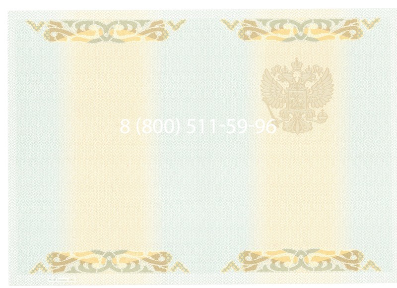 Купить Диплом бакалавра 2003-2009 годов в Красноярске