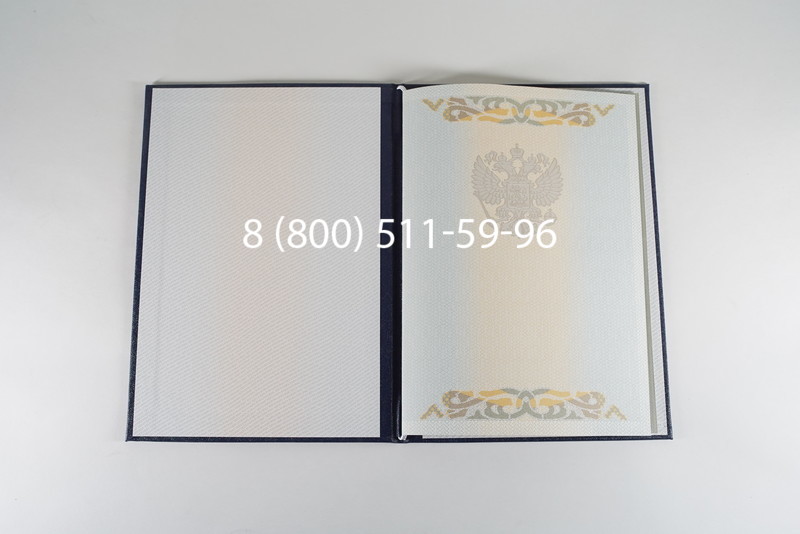 Диплом бакалавра 2003-2009 годов в Красноярске