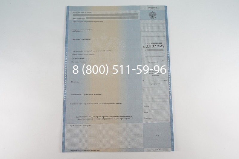 Диплом бакалавра 2003-2009 годов в Красноярске