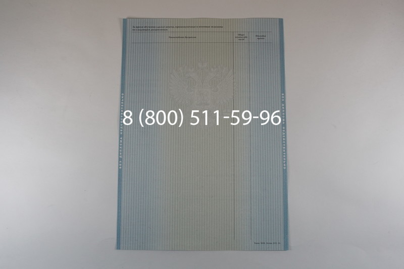 Диплом бакалавра 2012-2013 годов в Красноярске