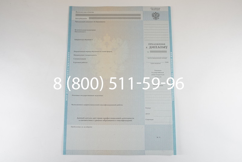 Диплом бакалавра 2010-2011 годов в Красноярске