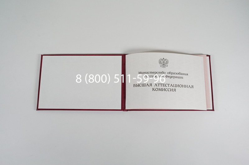 Диплом доктора наук 1995-2006 года в Красноярске