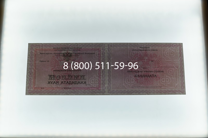 Заказать Диплом кандидата наук 2010 в Красноярске