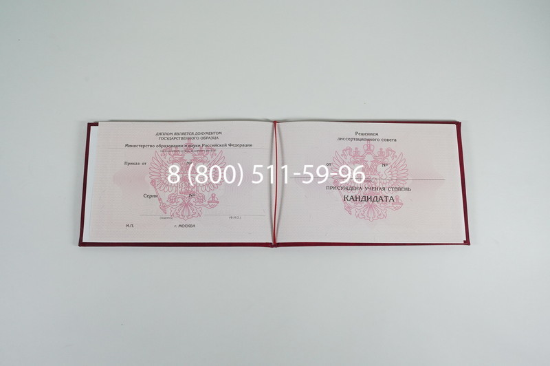 Заказать Диплом кандидата наук 2010 в Красноярске