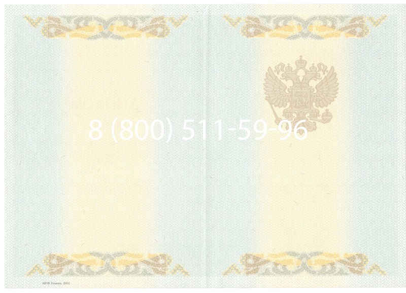 Купить Диплом магистра 2003-2009 годов в Красноярске