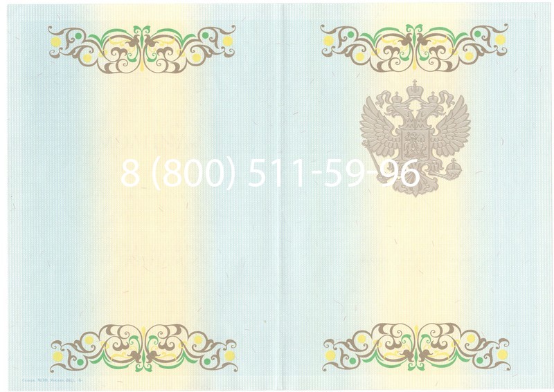 Заказать Диплом магистра 2012-2013 годов в Красноярске