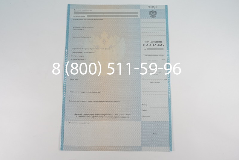 Диплом магистра 2010-2011 годов в Красноярске