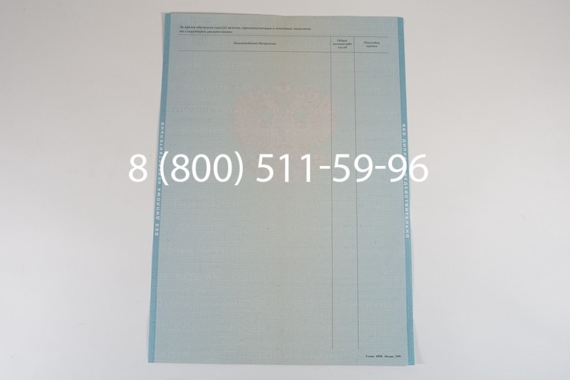 Диплом магистра 2010-2011 годов в Красноярске