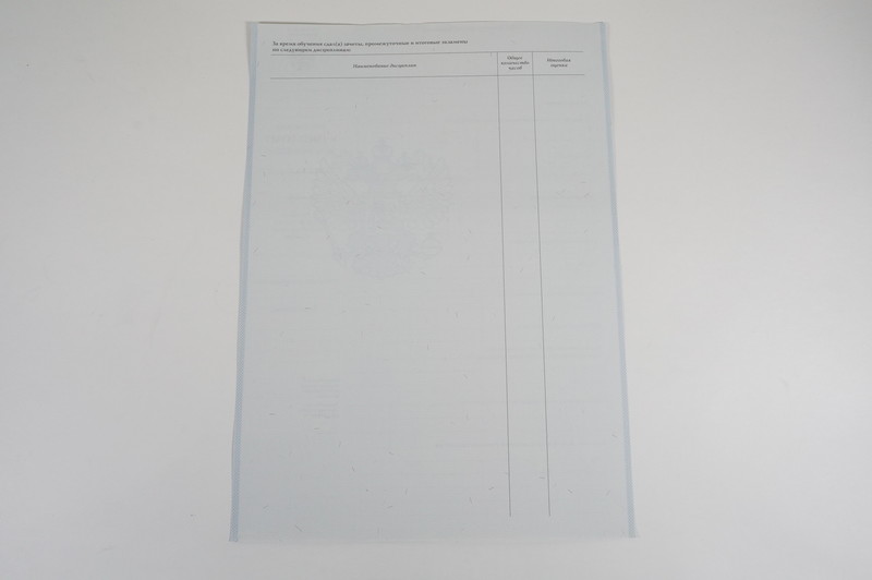 Диплом о начальном образовании  2007-2009 годов в Красноярске
