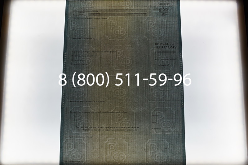 Заказать Диплом о высшем образовании 2012-2013 годов в Красноярске