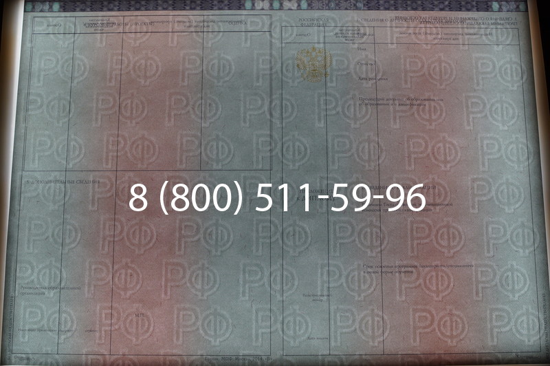 Заказать Диплом специалиста 2014-2026 года в Красноярске