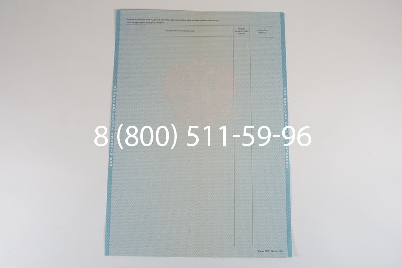 Диплом специалиста 2010-2011 годов в Красноярске