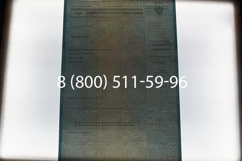 Заказать Диплом специалиста 2010-2011 годов в Красноярске