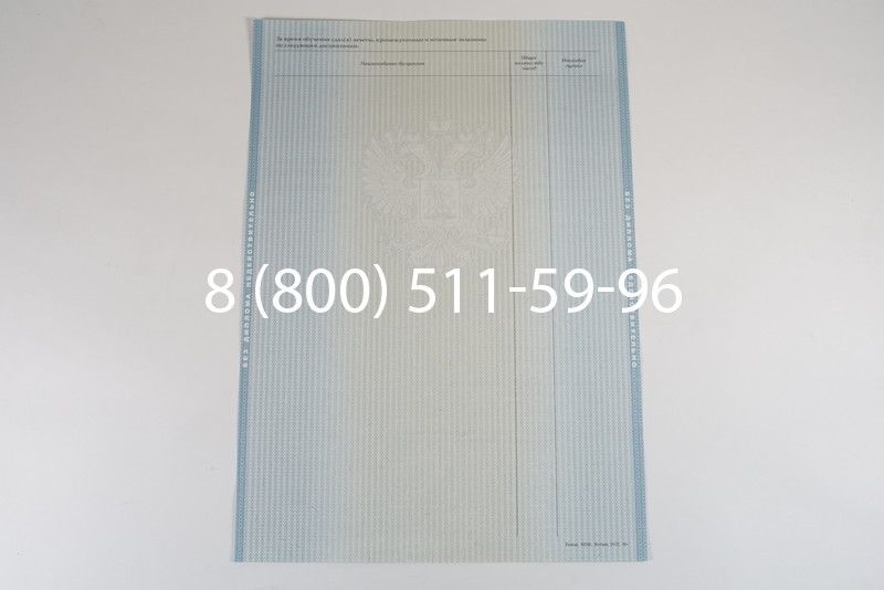 Диплом специалиста 2012-2013 годов в Красноярске