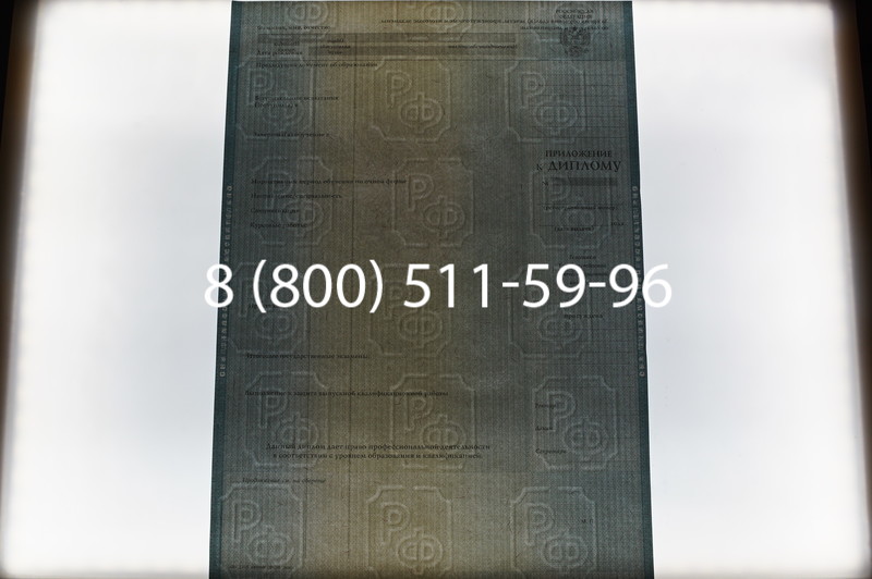 Заказать Диплом специалиста 2012-2013 годов в Красноярске