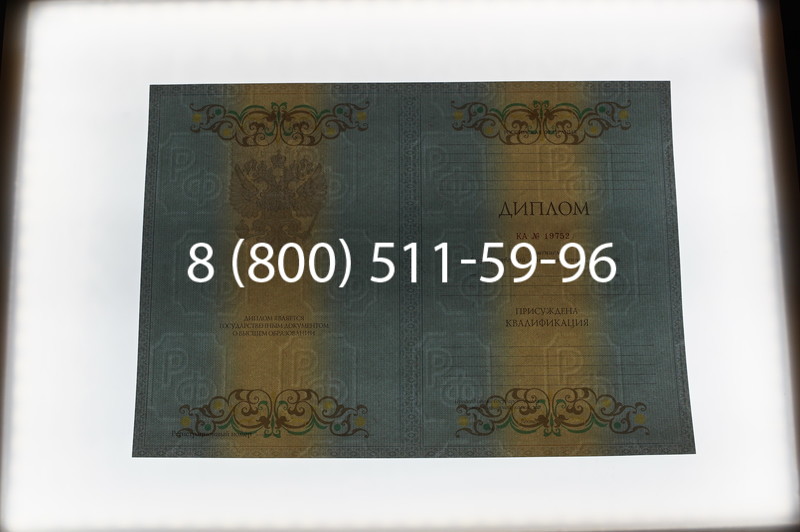 Заказать Диплом специалиста 2012-2013 годов в Красноярске