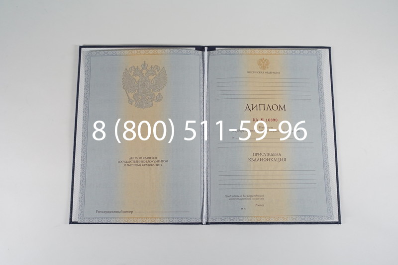 Диплом специалиста 2012-2013 годов в Красноярске