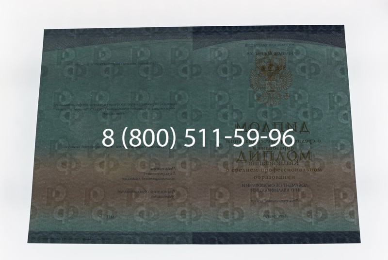 Диплом техникума (Спецбланк) 2014-2026 года в Красноярске
