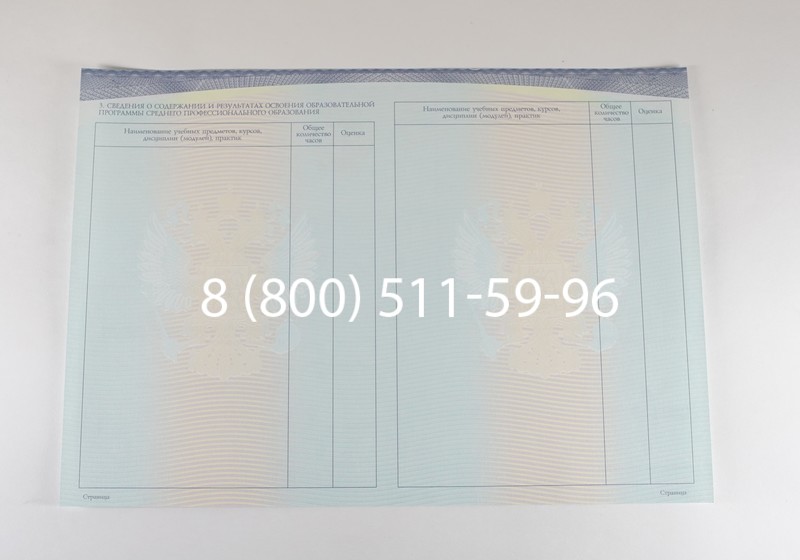 Диплом техникума (Спецбланк) 2014-2026 года в Красноярске