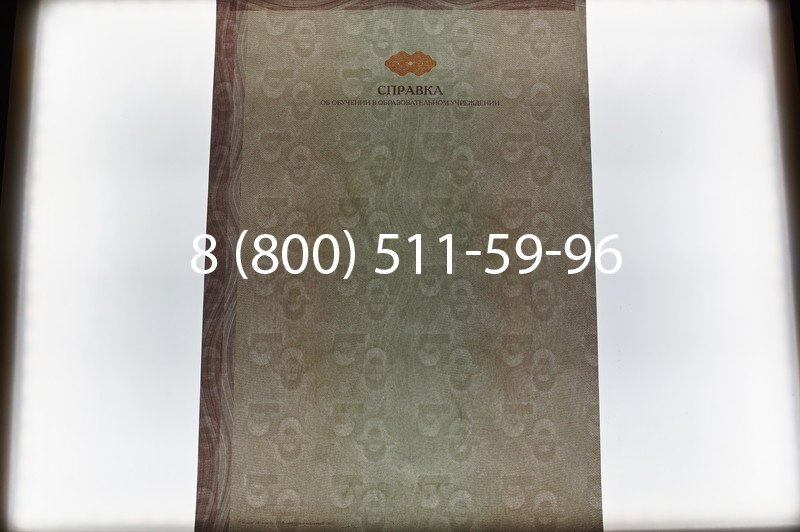 Купить Справка об обучении в Красноярске